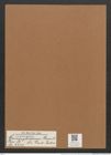 Campylodiscus gevilii Lend.-Fortm. (de-Toni-Nr.: Genus 57, Species 2433) Zeichnungen Sammlung Grunow Mappe 02616 (Herbarium_W_Grunow_drawings_Folder_02616)